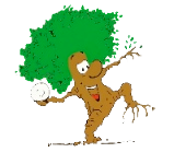 BROCÉLI'HAND 1