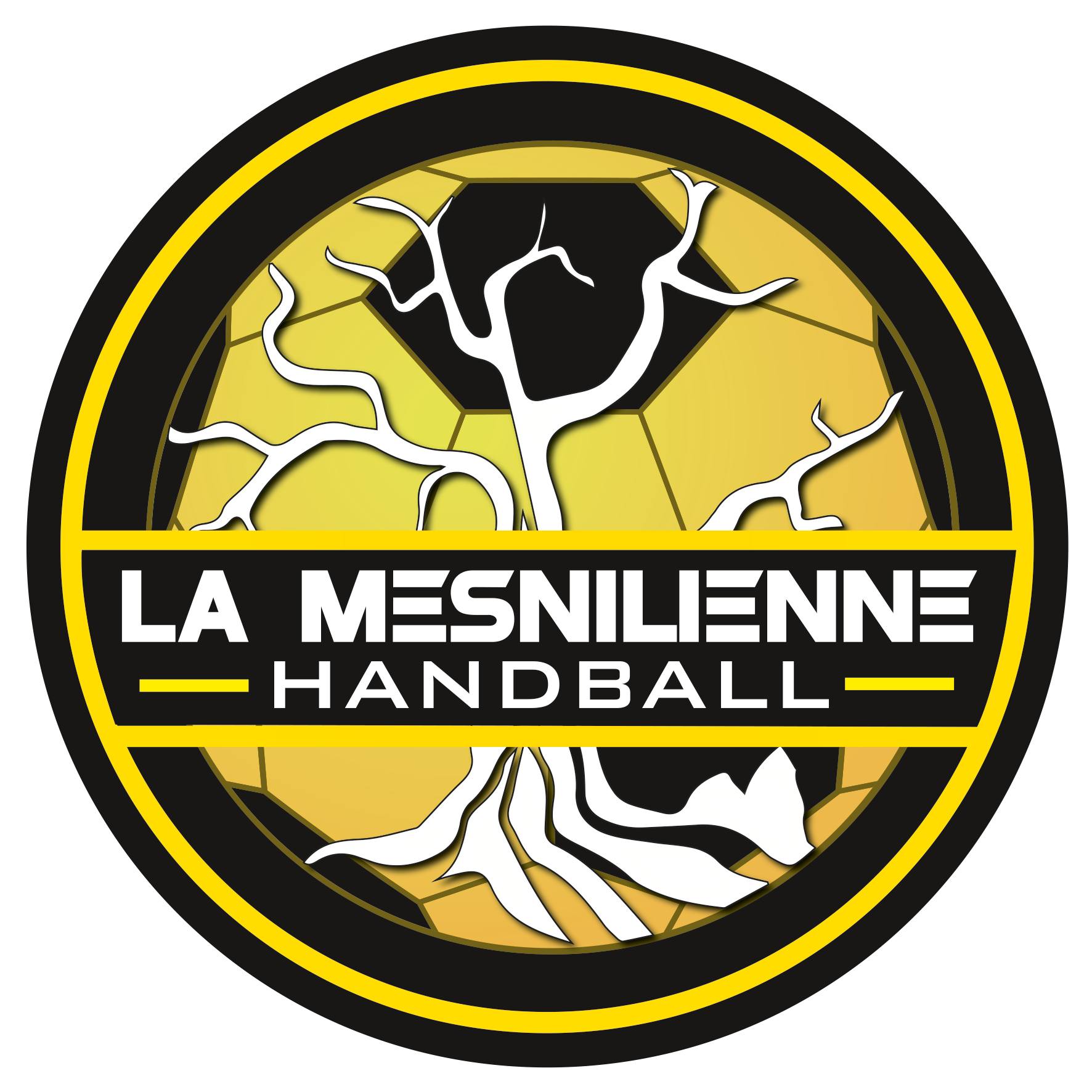 MESNIL ROC'H HANDBALL