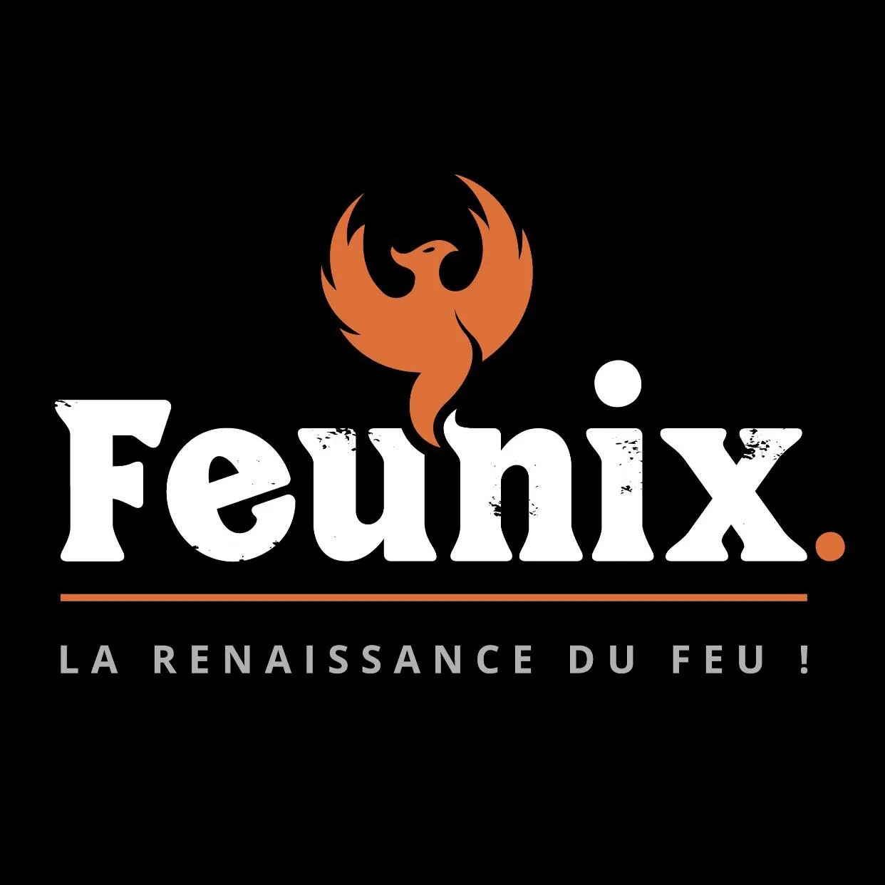 Feunix soutient le Handball Club 310 